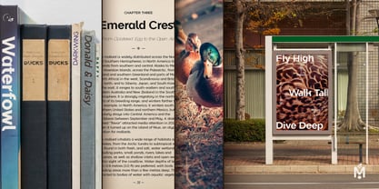 Mallard Font Poster 3