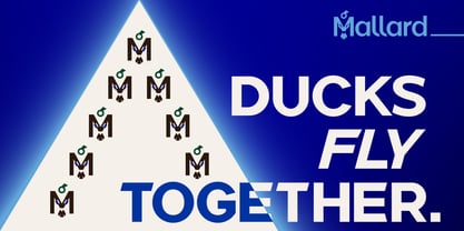 Mallard Font Poster 12