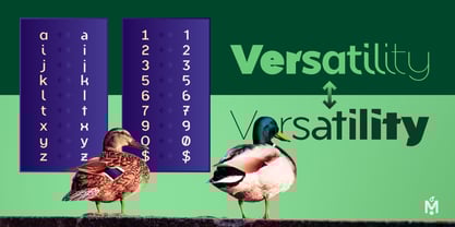 Mallard Font Poster 7