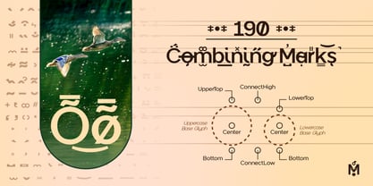 Mallard Font Poster 10