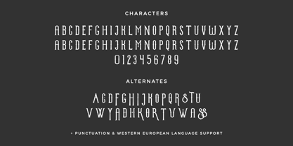 Witchborne Serif Font Poster 10