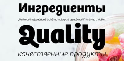 Bree Cyrillic Font Poster 6