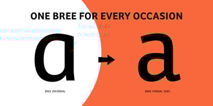 Bree Cyrillic Font Poster 7