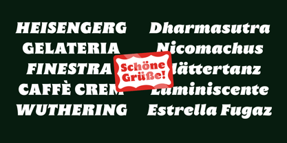 Baile Font Poster 13