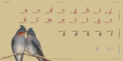 Refinsted Font Poster 12