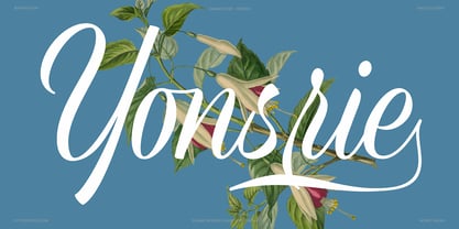 Refinsted Font Poster 6