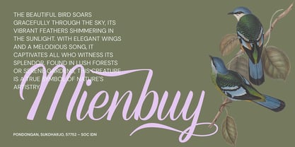 Refinsted Font Poster 9