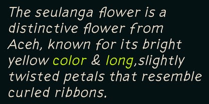 Seulanga Font Poster 10