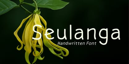 Seulanga Font Poster 1