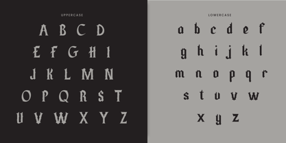 Leathess Font Poster 9