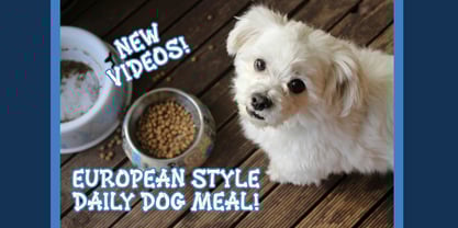 MGF Bonezkul Font Poster 9