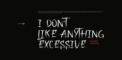 Delsigner Font Poster 8