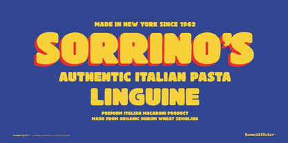 Chonky Kitty Font Poster 11