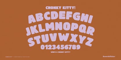 Chonky Kitty Font Poster 14