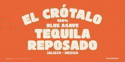 Chonky Kitty Font Poster 10