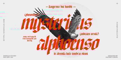 NCL Enigmatic Waesbendiy Font Poster 3