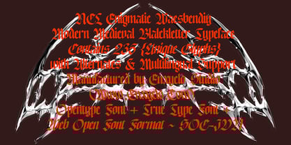 NCL Enigmatic Waesbendiy Font Poster 11