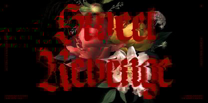 NCL Enigmatic Waesbendiy Font Poster 14