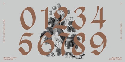 NCL Enigmatic Waesbendiy Font Poster 6