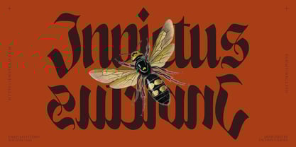 NCL Enigmatic Waesbendiy Font Poster 9