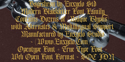 Bageshron Font Poster 9