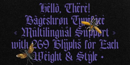 Bageshron Font Poster 14