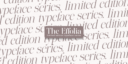The Effolia Font Poster 4