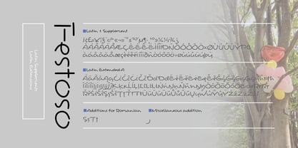 Festoso Font Poster 14