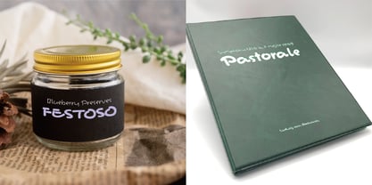 Festoso Font Poster 3