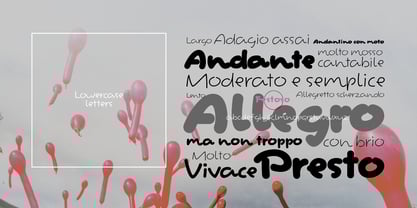 Festoso Font Poster 11