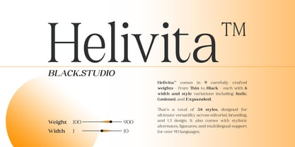 BS Helivita Font Poster 1