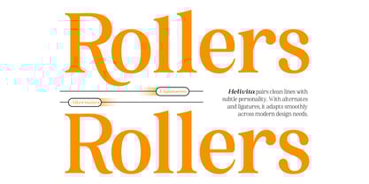 BS Helivita Font Poster 10