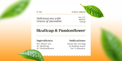 BS Helivita Font Poster 4