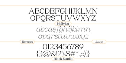 BS Helivita Font Poster 3