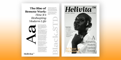 BS Helivita Font Poster 5