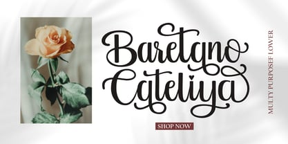 Antira Letter Font Poster 2