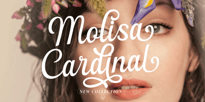 Flonday Script Font Poster 9