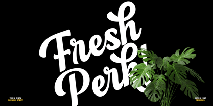 Flonday Script Font Poster 4