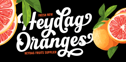 Flonday Script Font Poster 5