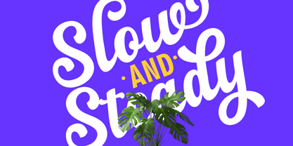 Flonday Script Font Poster 12