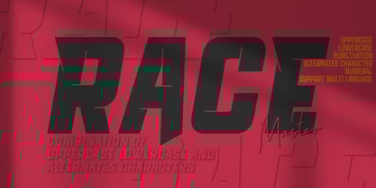 Race master Font Poster 1