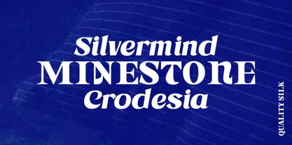 Astone Nisam Font Poster 10