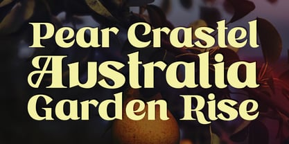 Astone Nisam Font Poster 5