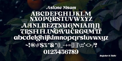 Astone Nisam Font Poster 9