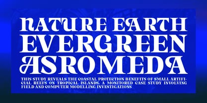 Astone Nisam Font Poster 8