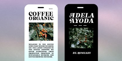 Astone Nisam Font Poster 4