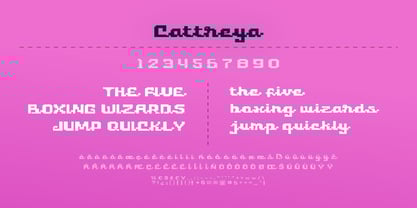 Cattreya Font Poster 5