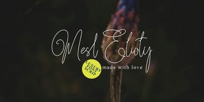 Southam Thonase Font Poster 3