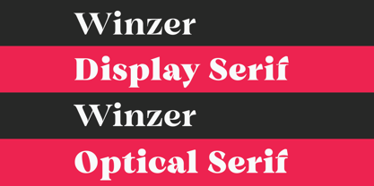 Winzer Serif Font Poster 3