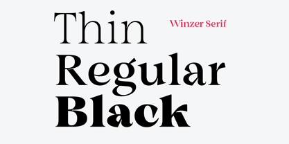 Winzer Serif Font Poster 10